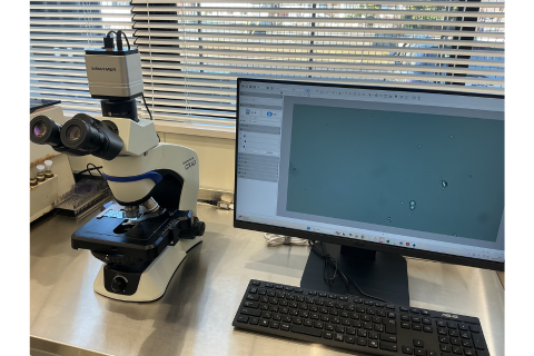 顕微鏡用カメラ